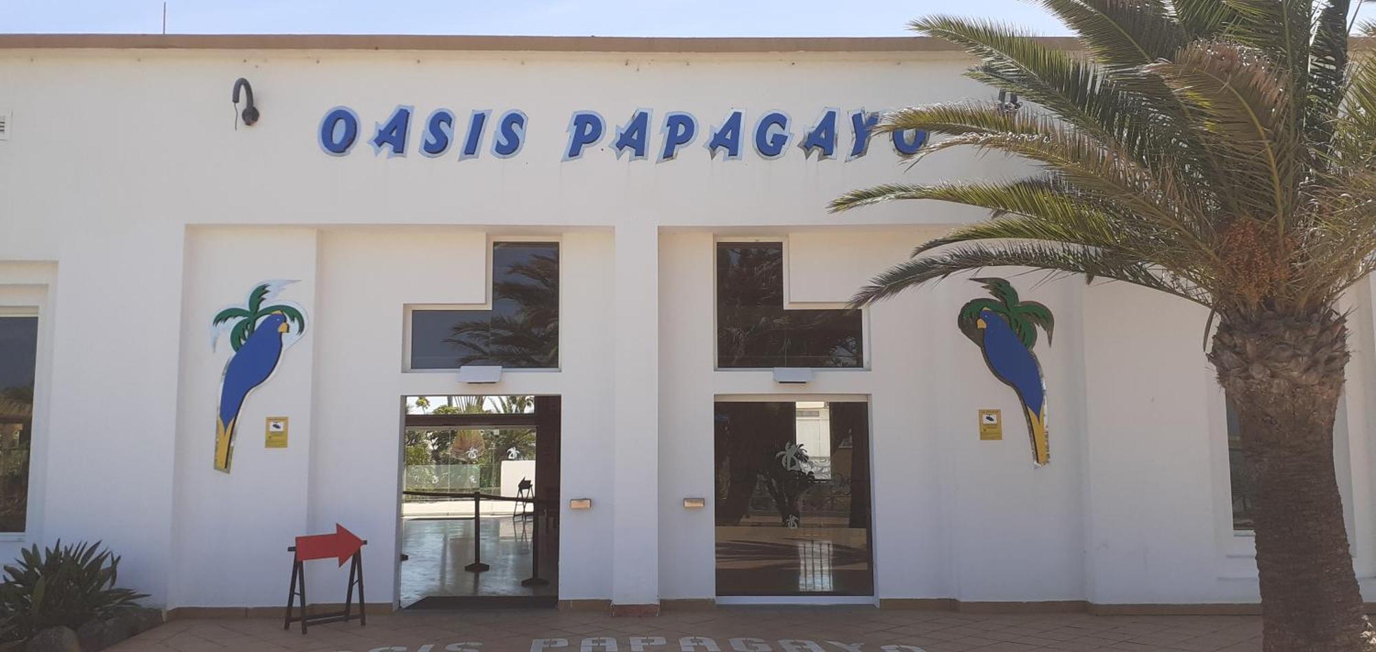 Apartmán Oasis Waves House Papagayo Corralejo Exteriér fotografie
